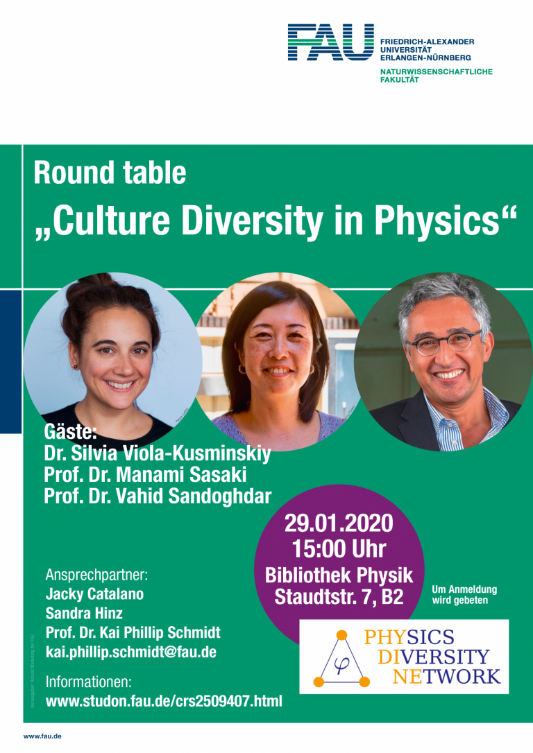 Round table on culture diversity in physics